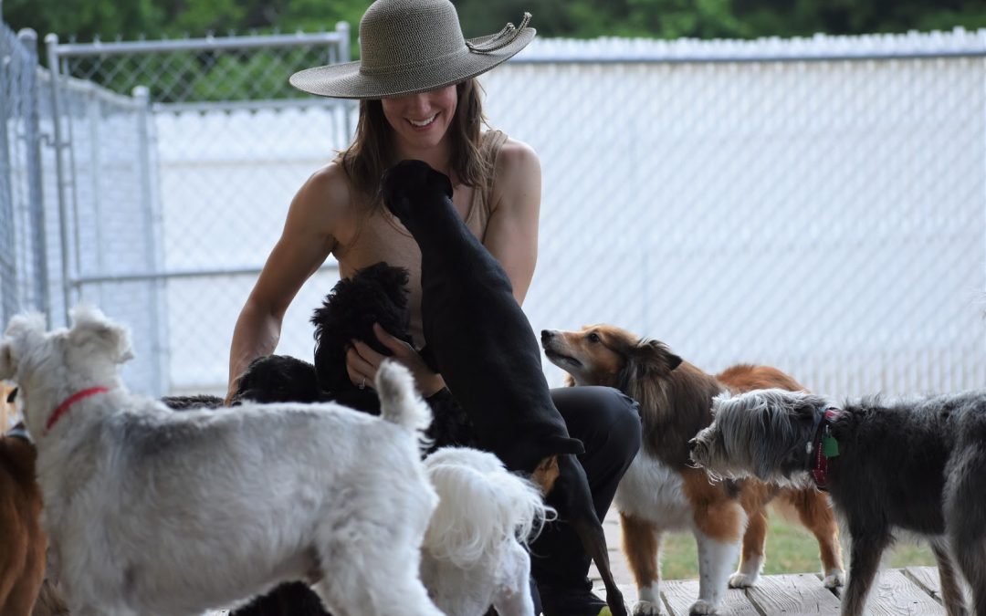 Dogs run up to greet woman at Smith Farms Kennel, the best kennel in Conyers, Georgia, providing Atlanta Doggy Daycare and Boarding