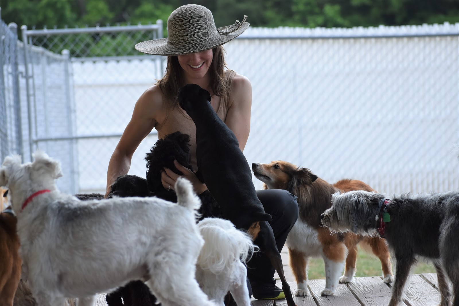 Dogs run up to greet woman at Smith Farms Kennel, the best kennel in Conyers, Georgia, providing Atlanta Doggy Daycare and Boarding