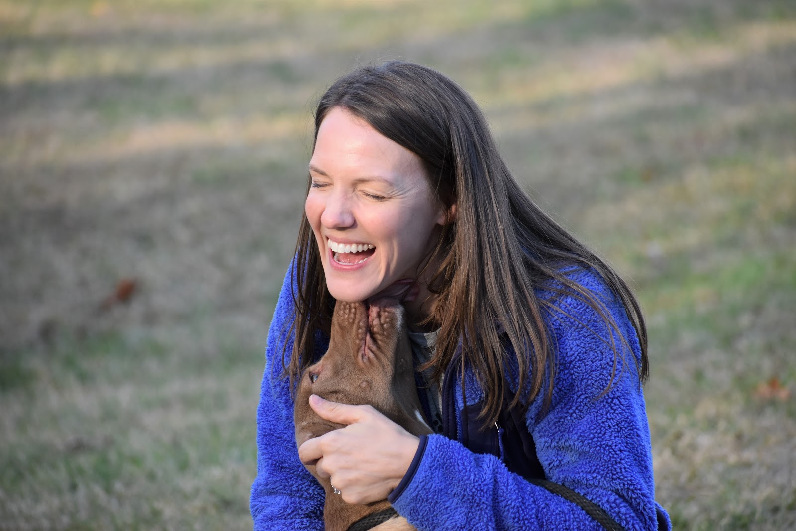 Sweet dog licks woman at Smith Farms Kennel, the best dog training and kennel in Conyers, Georgia