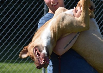 Dog plays in woman's arms at Smith Farms Kennel, the best kennel in Conyers, Georgia
