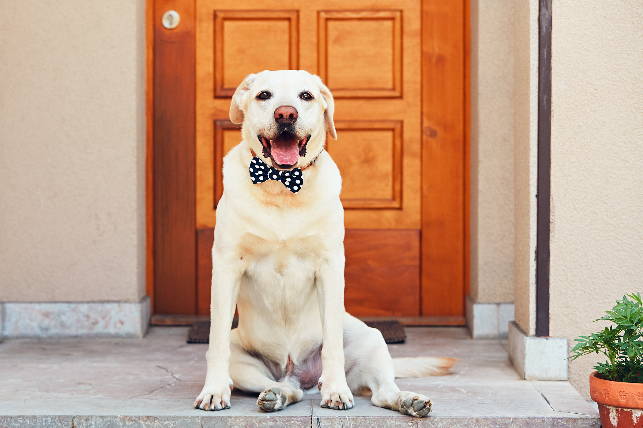 Things to consider when buying a new house.
