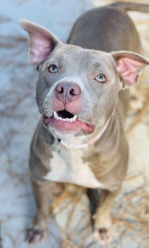 AC# 3924″Juliet”